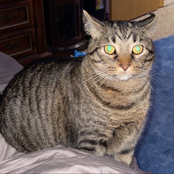 Meet your Posher, NoReflection - Picture 6 of 7